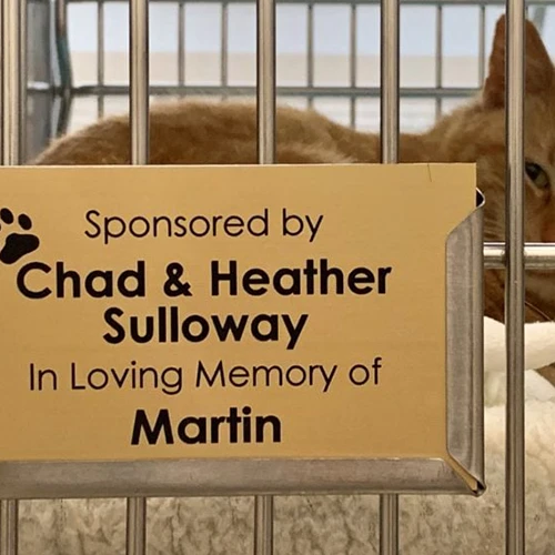 Sponsor a Shelter Cage Program