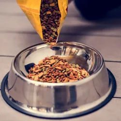 A bag of pet food is being poured into a pet bowl