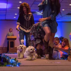 A couple of small dogs being led down the center runway by their handlers